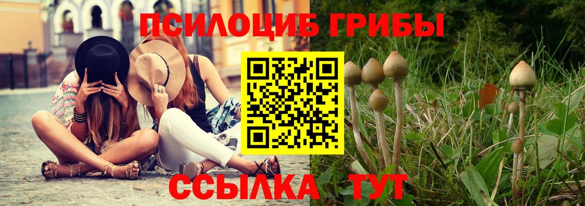 Галлюциногенные грибы Cubensis Торжок