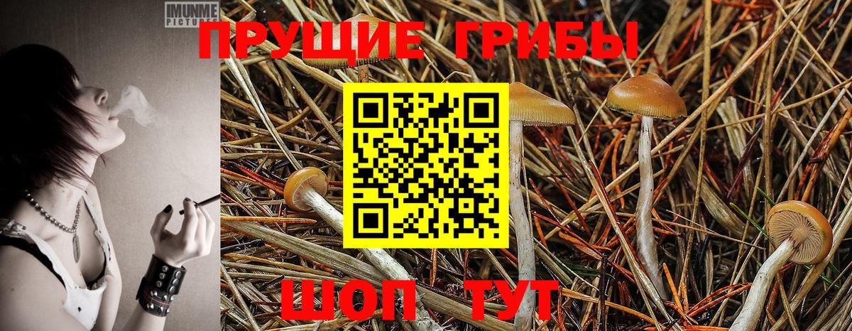 Галлюциногенные грибы Cubensis  Вход с VPN  Торжок 